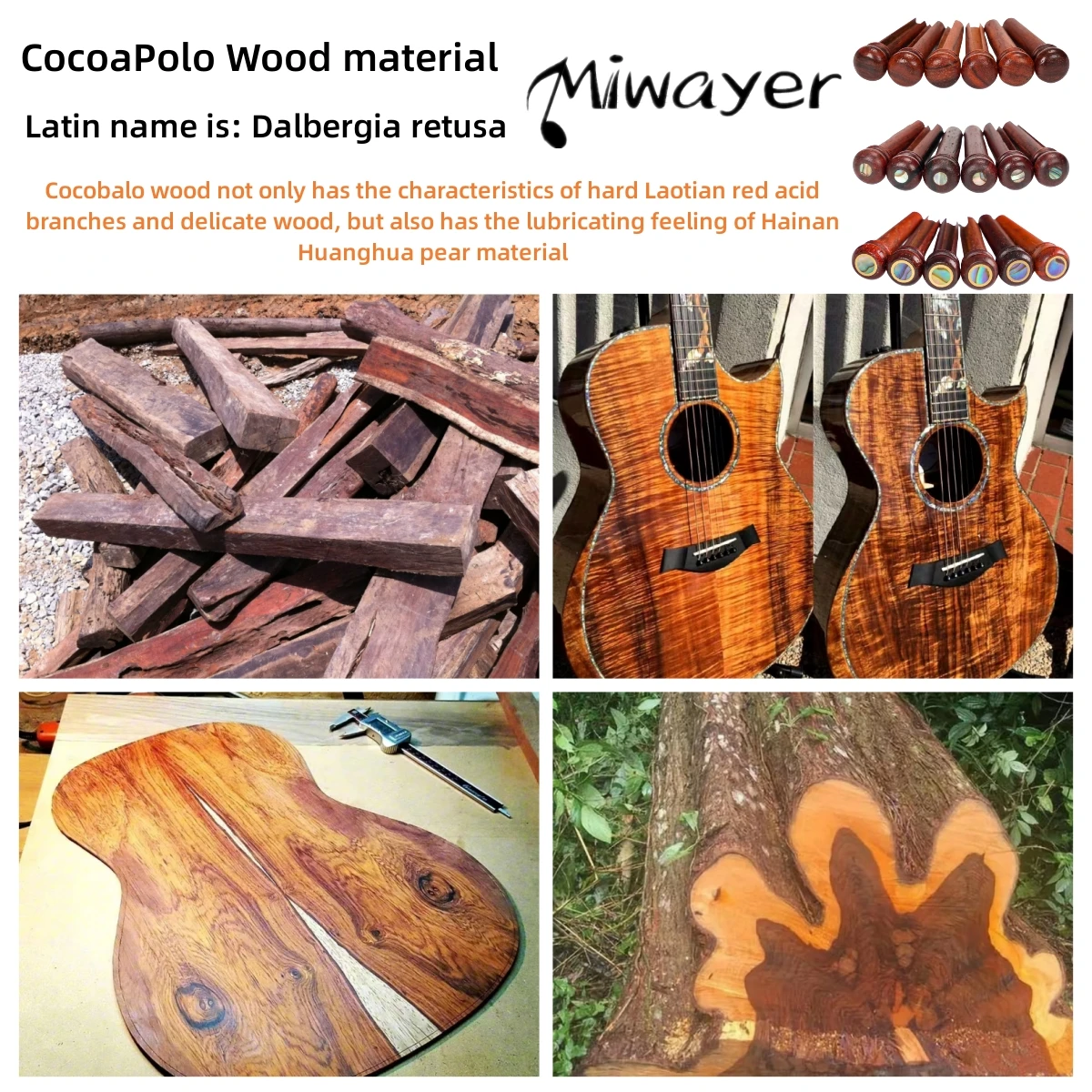 Ata Wayer Acoustic JEBridge Pins de différents styles, Cow Sophia, Excavator ony, Cocoapolo Wood JEPartners String, 6PCs, N64.