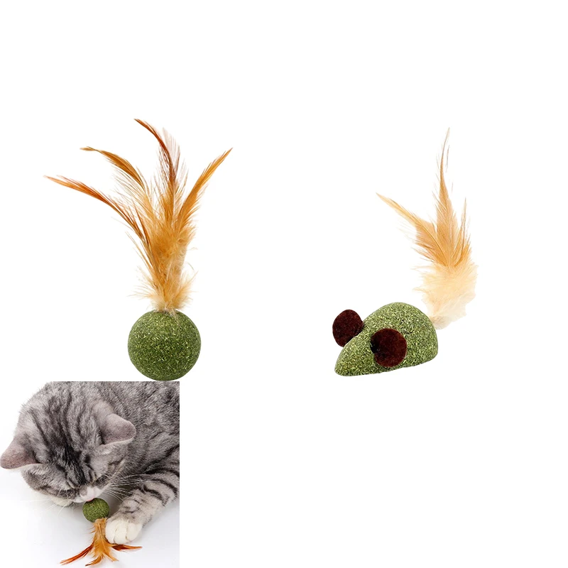 Feather Catnip Ball for Cats Self Cleaning Teeth Grinding Toy Mint Ball Pet Supplies Interactive Kitty Playtime Essential