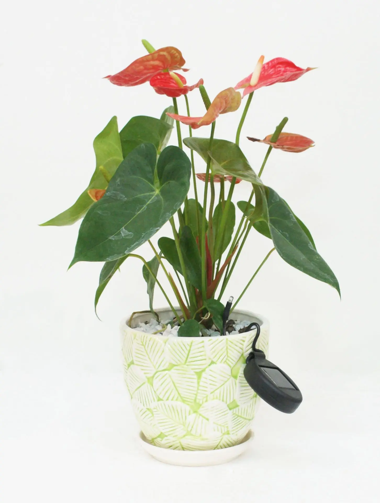 

C5 LED Solar Garden Lights Solar Flower Light Pot Decorative Light Waterproof Green Plant Lamp For Garden Pathway Indoor Outdoor