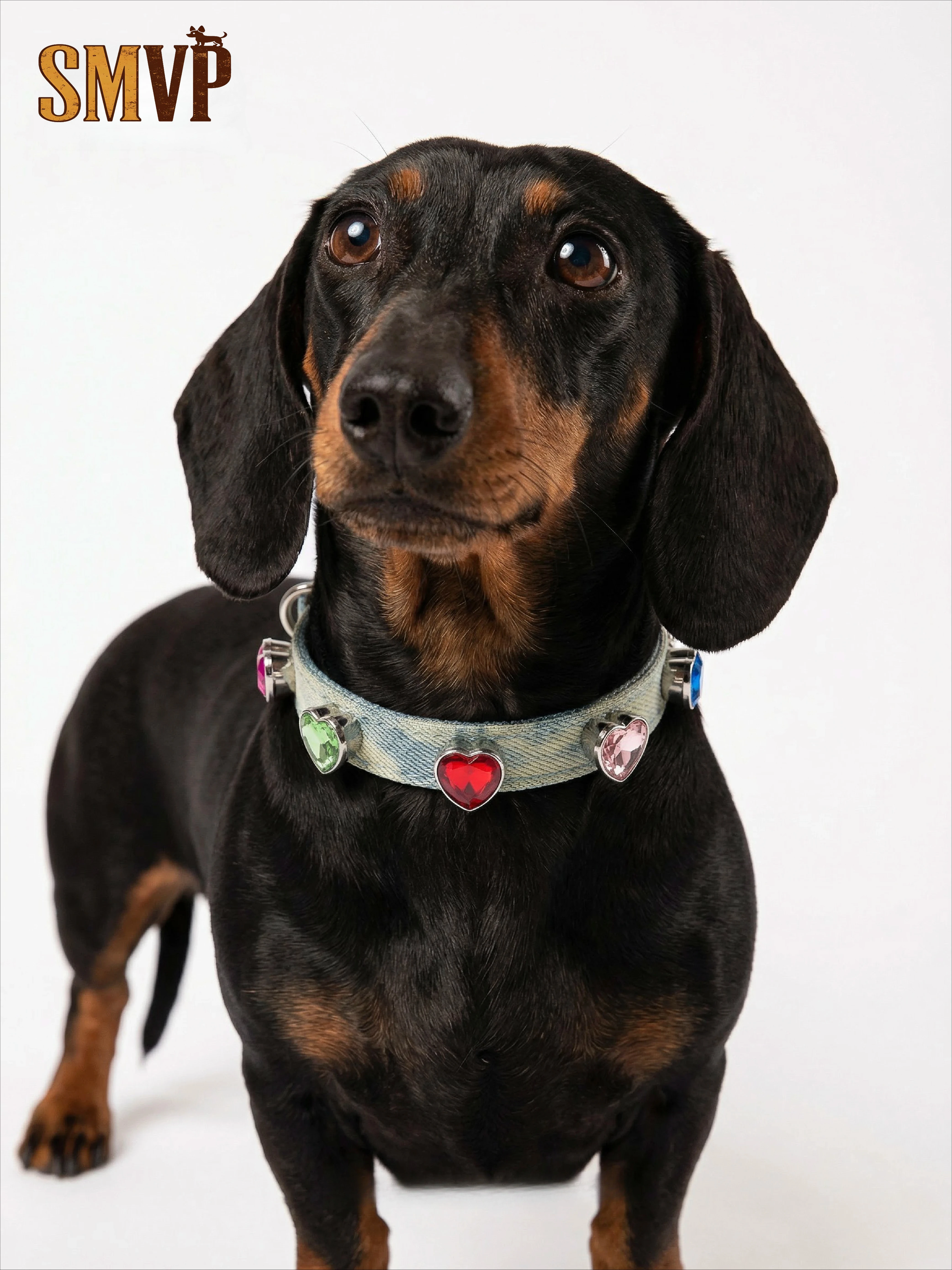 

Original Design Denim Inlaid Love Gemstone Fashion Trend Style Pet Kitten Puppy Versatile Decorative Collar