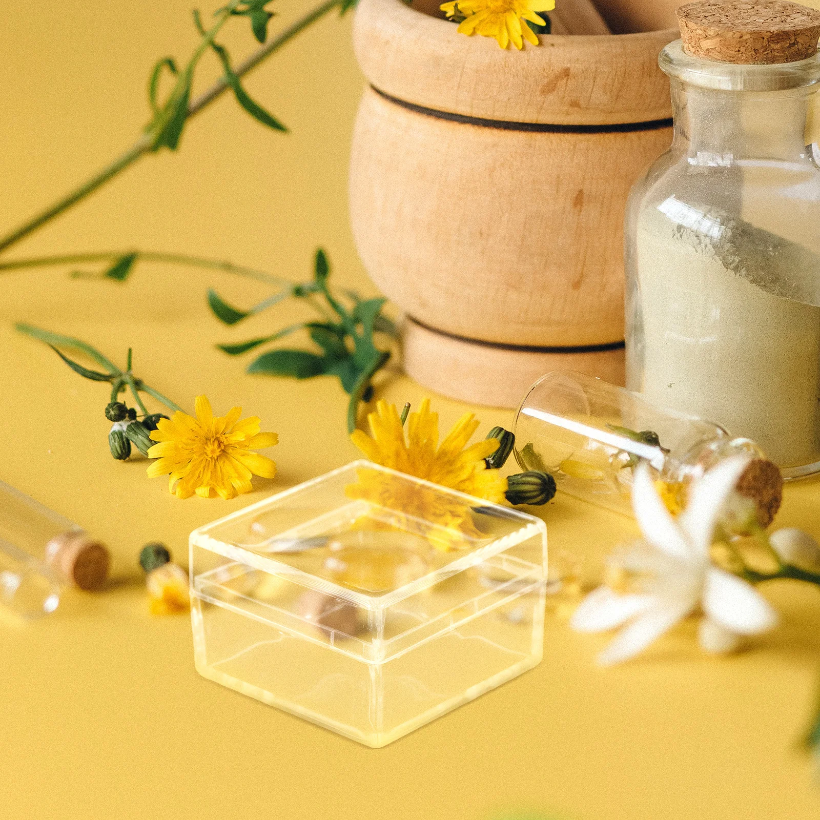 

10Pcs Square Transparent Specimen Storage Boxes Mini Clear Display Case Plastic Sample Container Organizer for Home Office