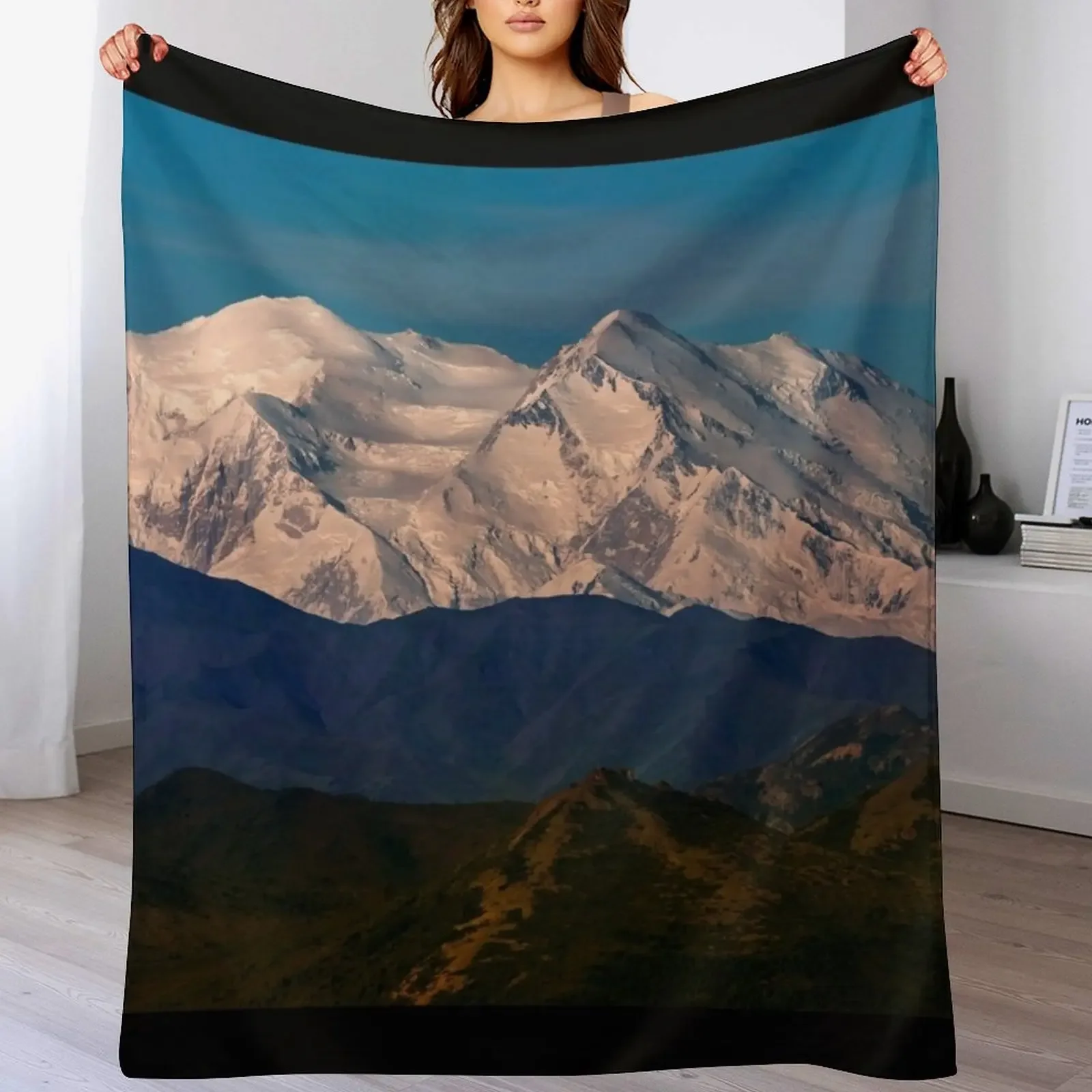 

Denali Throw Blanket Stuffeds Comforter Plaid on the sofa Luxury Brand Blankets