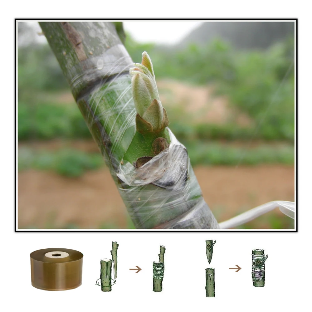 2-10CM PE Grafting Tape Self-adhesive Stretchable Clear Repair Film for Tree Plant Seedlings Vine Tomato Planting Garden Tools