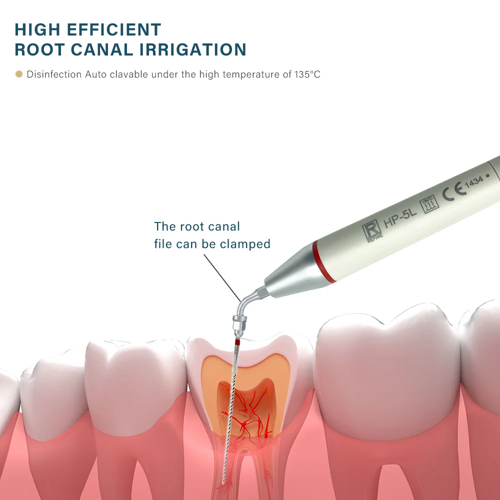 Dental Ultrasonic Scaler com LED Water Tank, Limpeza de manchas e cálculo, Equipado com Pet-Friendly