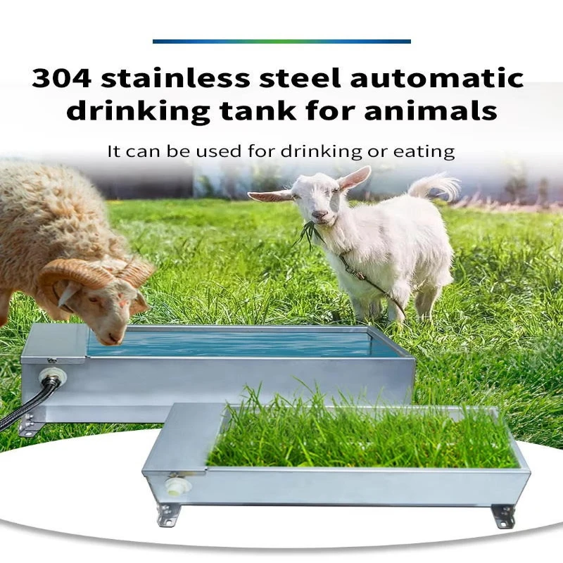 50cm Rectangle Stainless Steel Auto Water Trough with Float 7.5L Capacity for Poultry Cow Sheep Farm Water Supply