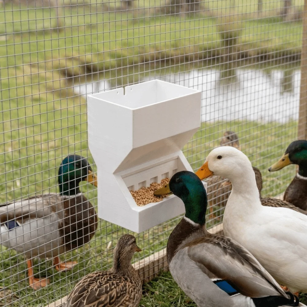 Contenitore per alimenti stamp - 3D Printing In Food recensione e prezzo