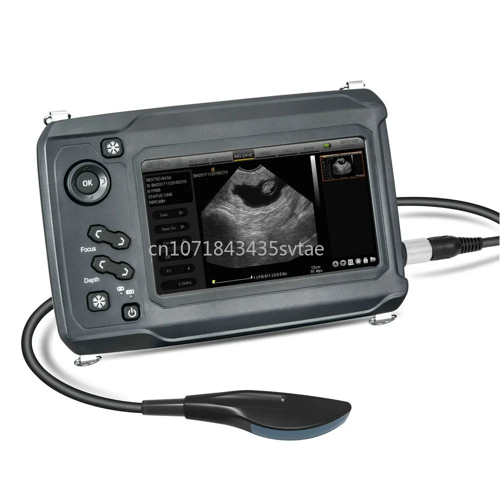 Handheld BMV S6 Digital Equine Bovine Ovine Portable Digital Veterinary Ultrasound System