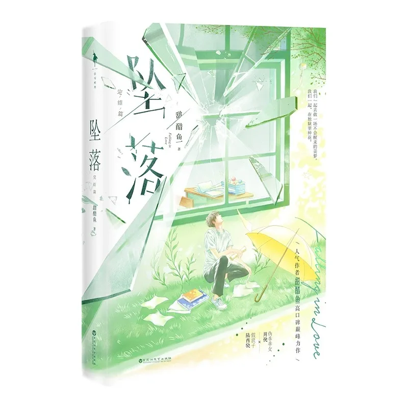 2024 Falling In Love (Zhui Luo) Chinese Original Novel Vol. 2 Lu Xixiao, Zhou Wan Youth Campus Romance BG Fiction Book