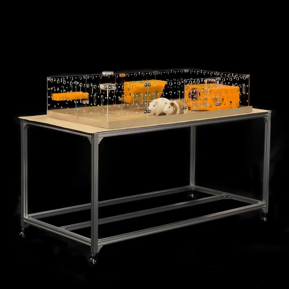 

Acrylic Cage (Model-A) - Large 4x2ft Open Cage for Guinea Pigs, Rabbits, Button Quails, Hedgehogs, Small Animals Tha