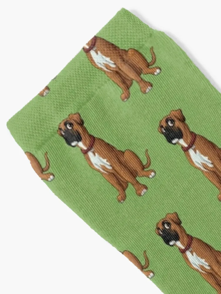 Layla the Boxer Socks Run crazy Girl'S Socks Men's