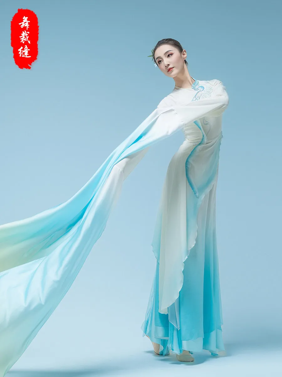 Chinese Classical Water Sleeve Dance Costume Flowy Fairy Outfit Women Stage Performance Set New Style Stage Show Dress