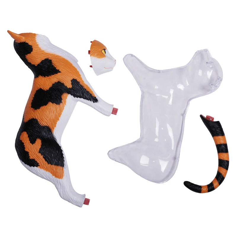 4D Vision Calico Cat Anatomy Model Skeleton Anatomical Model Fully Detachable Organs Body 28 Parts Kids Science Educational Toys