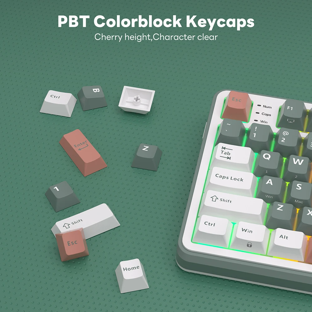 Imagem -06 - Royal Kludge Teclado Mecânico Botão de Tela Tft 96 Rgb Backlit Jogos sem Fio Tri-mode Pbt Keycaps rk S98