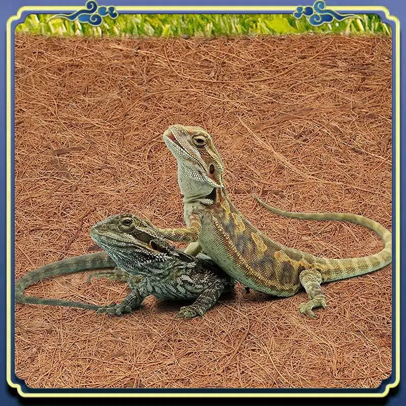 Latest Natural Coconut Fiber Mat, Reptile Carpet, Pet Terrarium Substrate For Lizard Snake Turtle Turtles Iguana Gecko