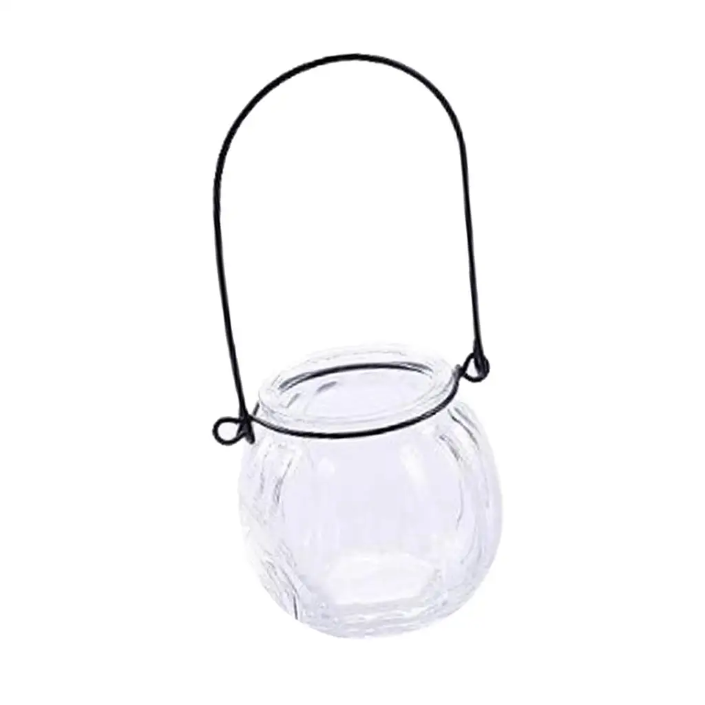 Transparent Glass Hanging Flowerpot Hydroponic Planter Pot with Chain for Garden Balcony Indoor