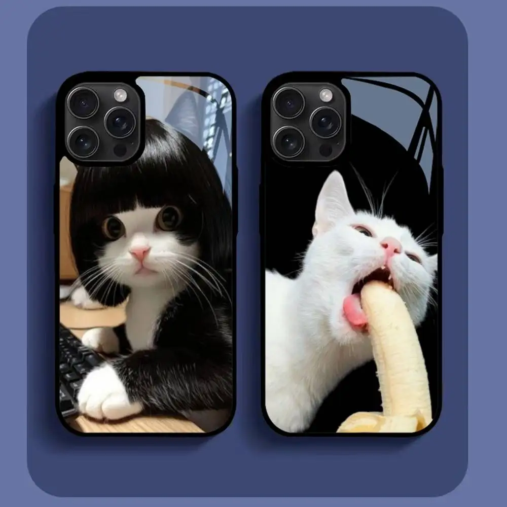 

Funny Cat Phone Case For IPhone16 15 14 13 12 11 Pro Xs Max Mini XR X 7 8 Plus Luxury Mirror Hard Funda