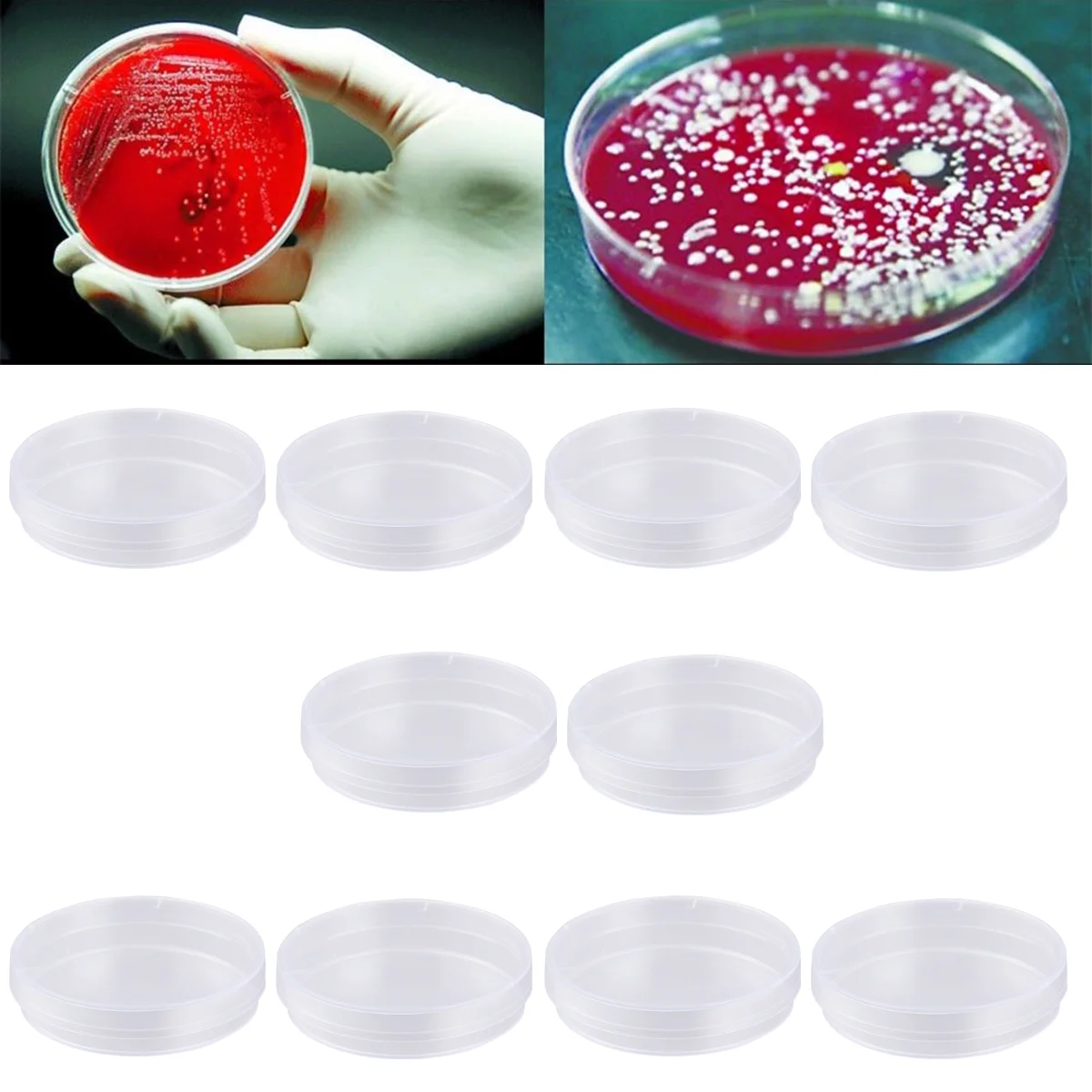 20 PCS 100mm Plastic Petri Dishes Culture Dishes with Lids Petri Dish Plastic Plastic Petri Dish with Lid