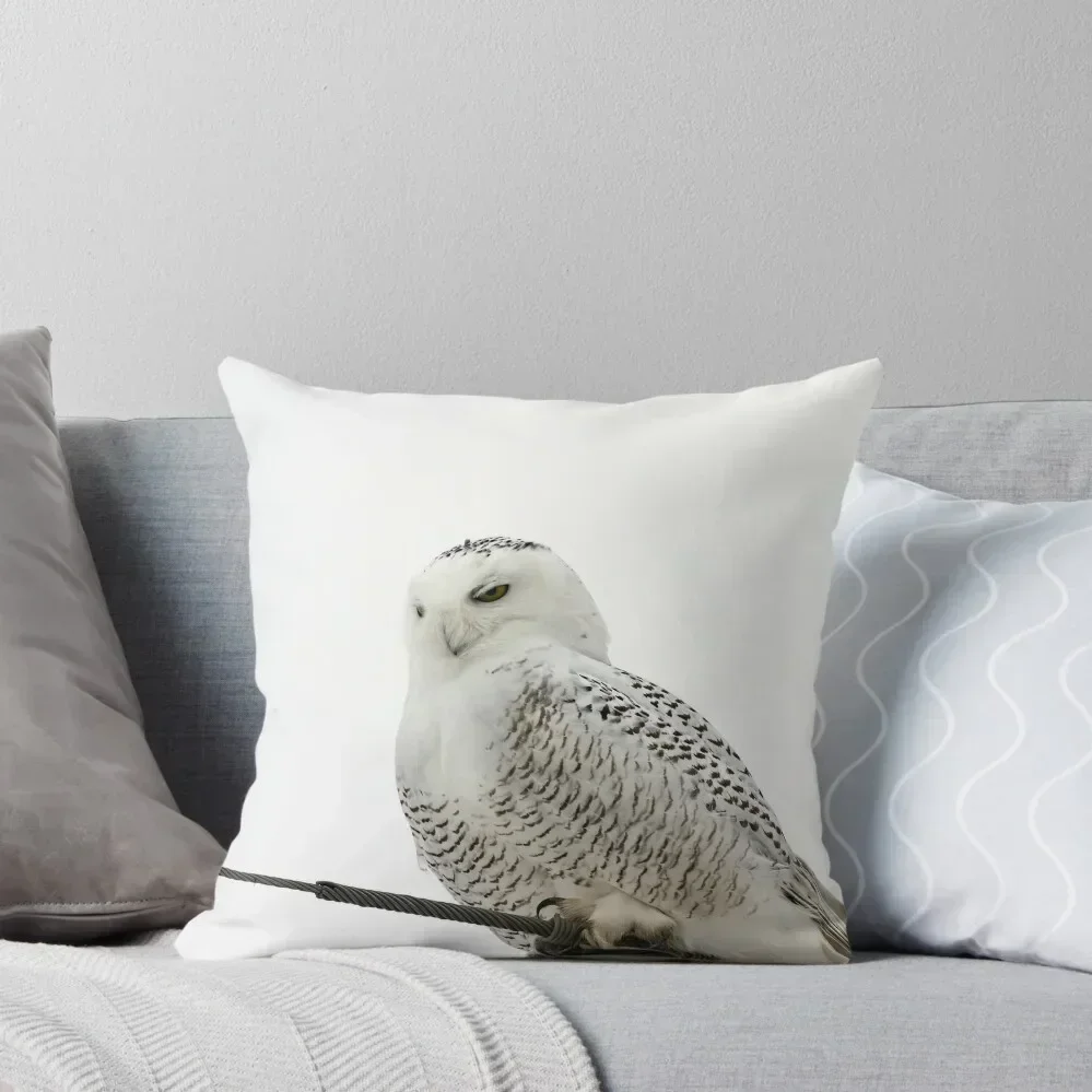 Content Snowy Owl Throw Pillow pillow pillowcase Ornamental Pillow bed pillows