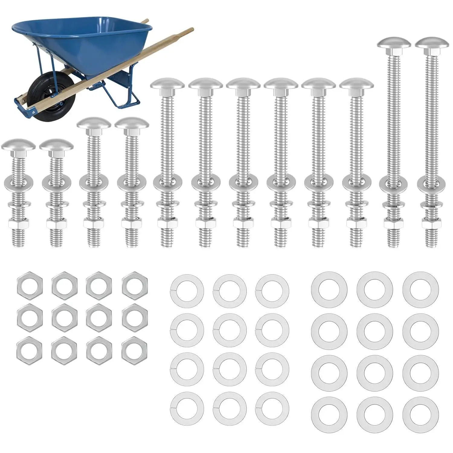 

Wheelbarrow Handles Bolts Kit Replacement 5/16 Stainless Carriage Nuts and Bolts for Furniture Repair Beds Sofa Table Chairs 12