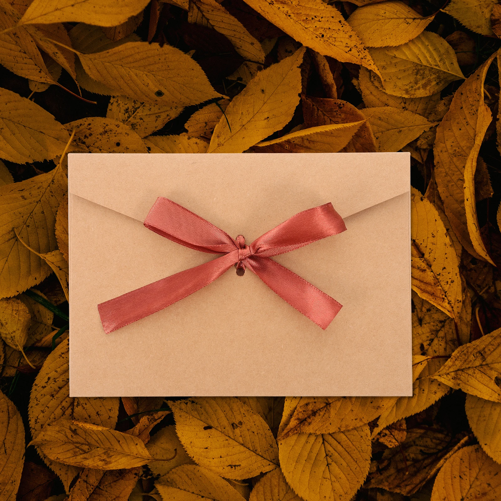 

10 Pcs Pearl Paper Postcard Small Brown Envelopes Decorative Bowknot Cloth Thickened Packaging Envelope Wedding Invitations