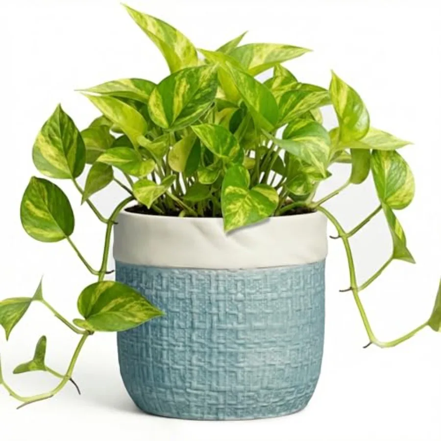 

Ceramic Pots for Plants - Plant Pot for Indoor Succulent Plants, Round Planters with Draage Hole, Decorative Flower Pots, Garde