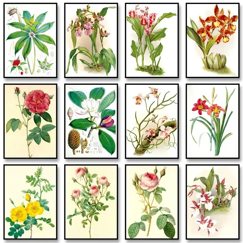 1PCS frameless 2D Flat Vintage Flower Posters Plant Orchid Prints Dendrobium Orchid Rose Gallica Canvas Painting Wall Art Pictur