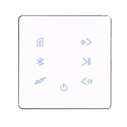 Bluetooth Amplifier in Wall USB SD Card Music Panel Smart Home Background Audio System Stereo Hotel Restaurant(White)