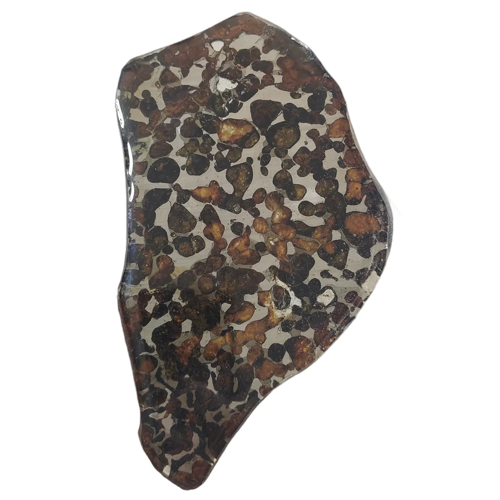 High Quality Olive Meteorite Slice Sericho Kenya Olive Meteorite Specimen Natural Meteorite Material Slice