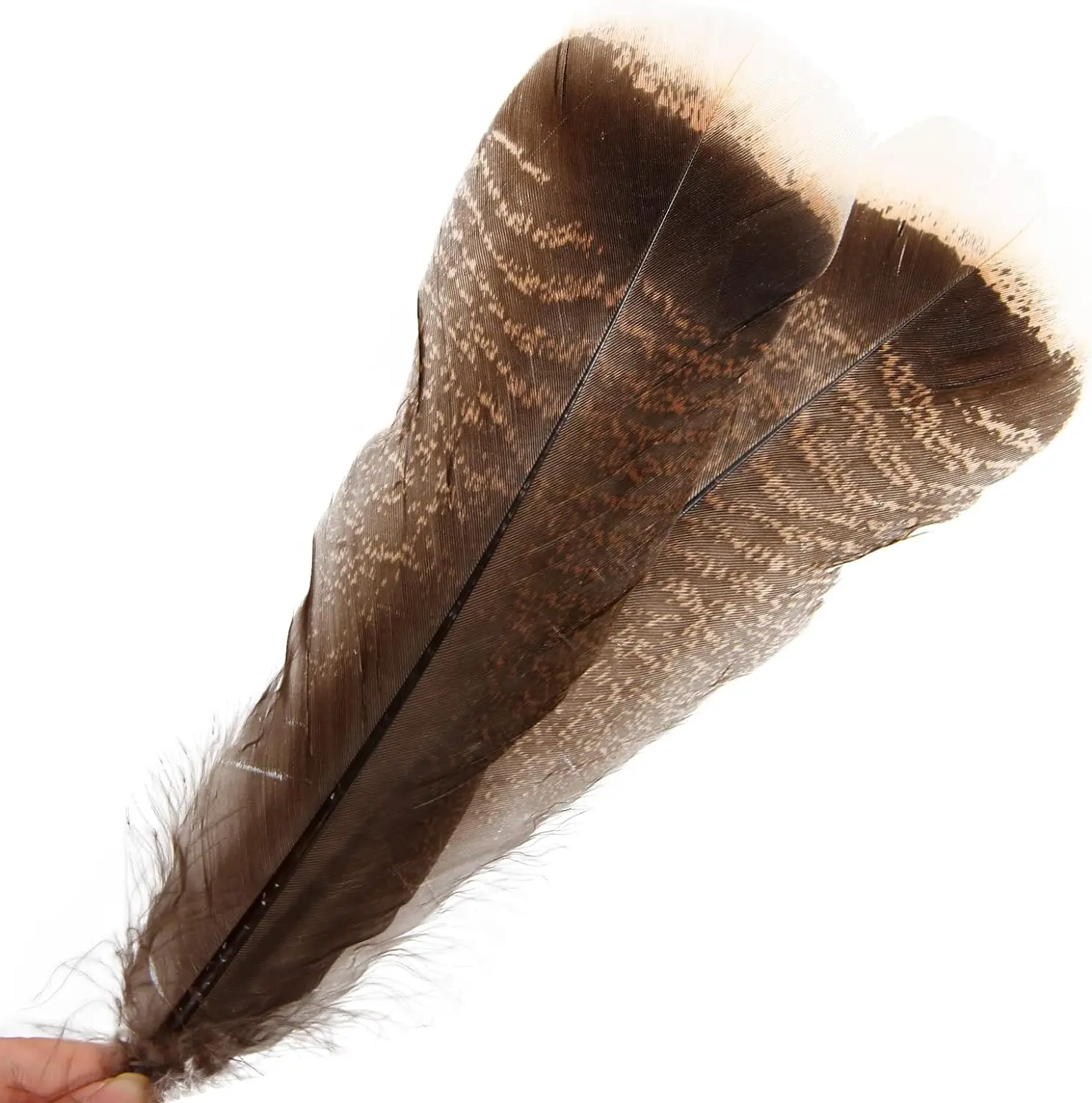 50pcs Natural Wild Turkey Tails Feathers Quill Bulk 6-12inch 15-35cm DIY Crafts Traditional Festival Party Clothing Decoration