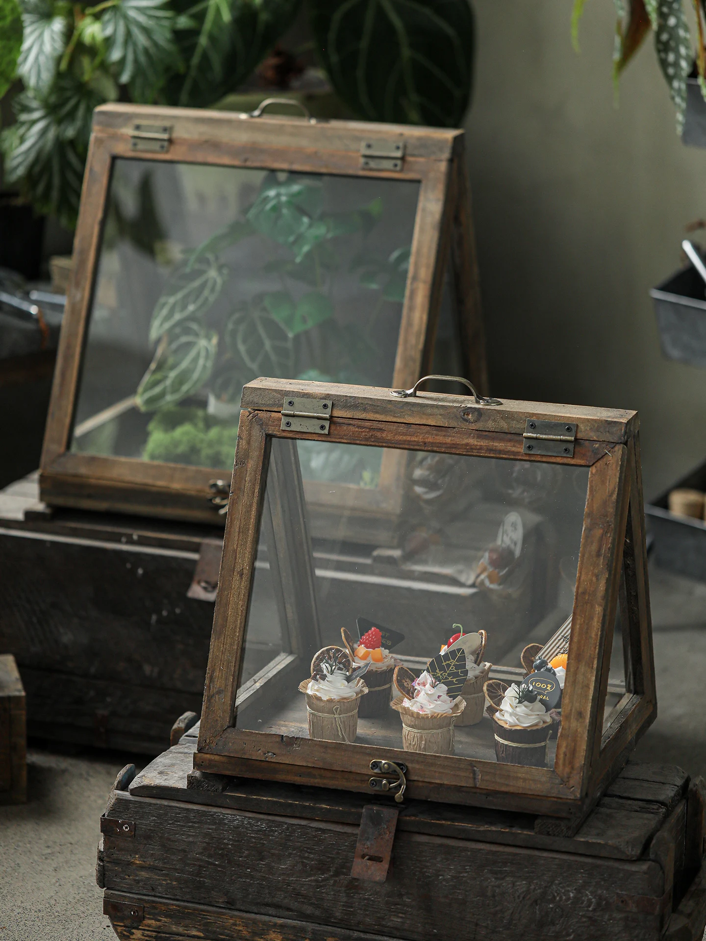 

Plant stuffy box, insulation box, green plant, wintering glass cover, warm garden, courtyard, retro balcony