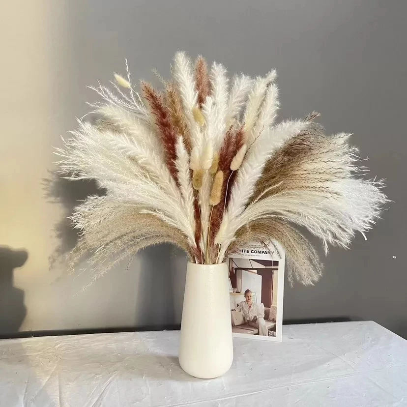 

Natural Dried Pampas Grass Decor 30 Pcs Small Fluffy White Pompas Dry Wheat Bundle Bunny Tail Grass Bouquet for Boho Arrangement