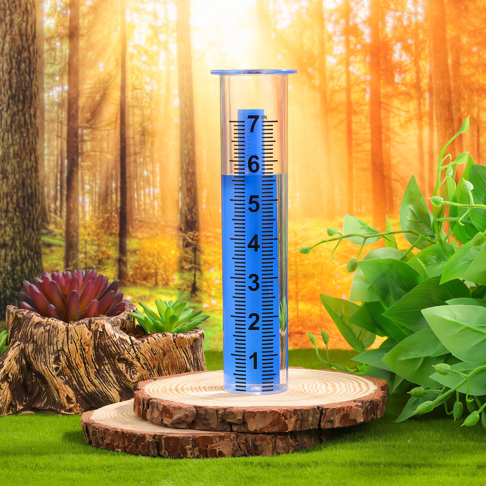 

2 Pcs Test Tube Lawn Rain Gauge Measuring Rainwater Gauges for Yard Outdoor Precise Transparent Strong Material Weather