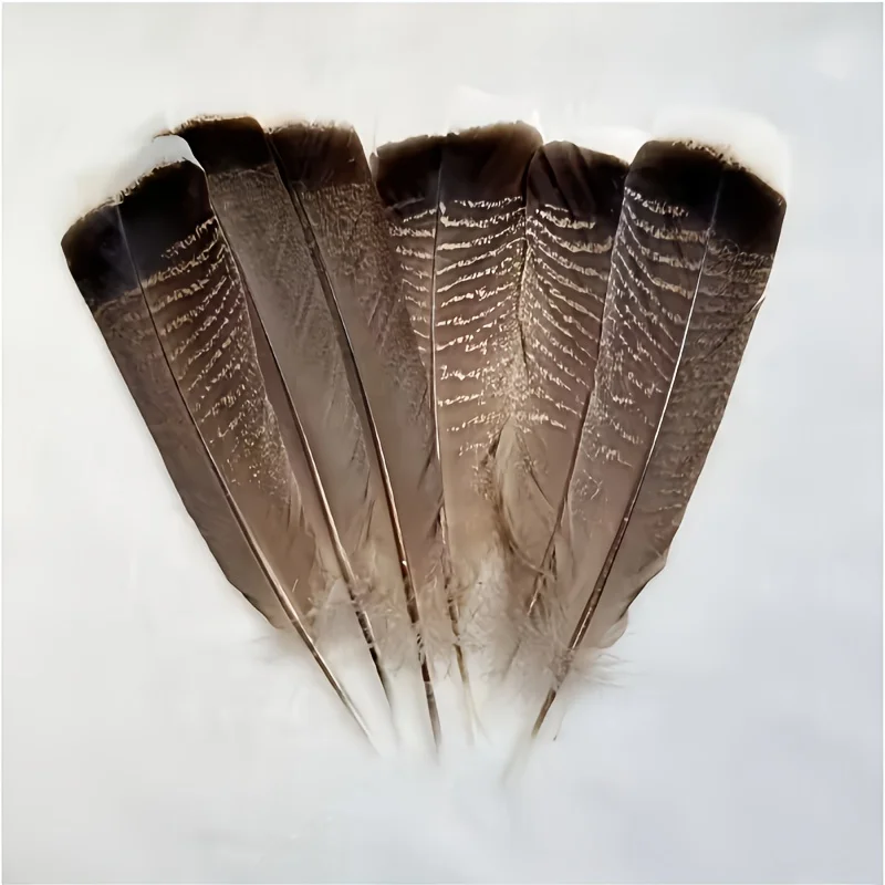 

Натуральные перья орла и фазана для рукоделия, изготовления ловцов снов, украшений, декоративных аксессуаров, 10-35 см