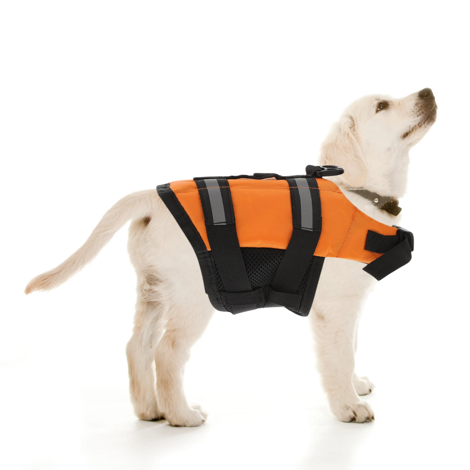 

Pet Life Preserver with Bright Colors Reflective Design Breathable Fabric Easy-Grab Handle Secure D-Ring for Leash Doggy Swim