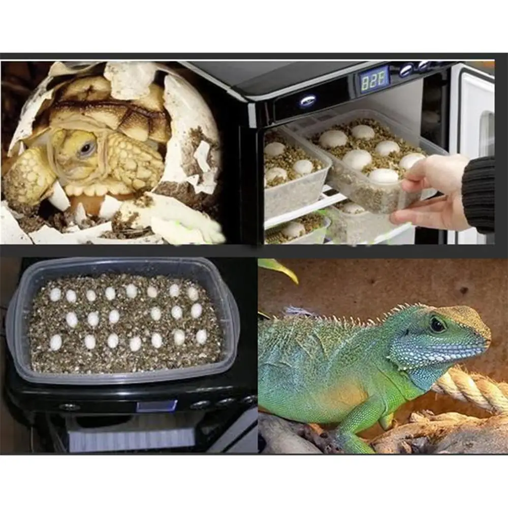 23L Digital Temperature Control Lizard Snake Bird Egg Incubator