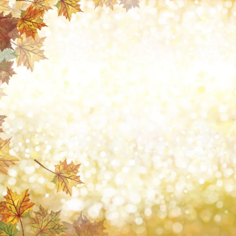 

Металлическое крепление для заднего крыла # Кронштейн заднего крыла из алюминиевого сплава ARA320758 для радиоуправляемой модели ARRMA 1/8 Kraton V6 6S EXB Notorious – запчасть для тюнинга