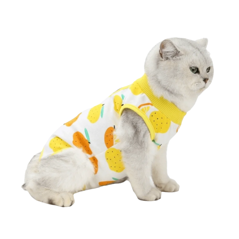 

Fruit Printed Cat Recovery Clothing Breathable Comfortable Pet Anti-Licking Vest High Elasticity Soft Pet Weaning Suit