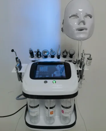 

10-in-1 facial beauty machine+customs fee