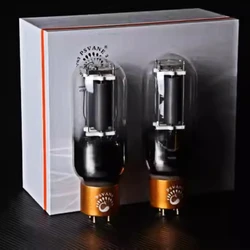PSVANE MARKII 845-TII Vacuum Tube Collection Version Upgrade 845 HIFI Audio Valve Electronic Tube Amp DIY Factory Matched