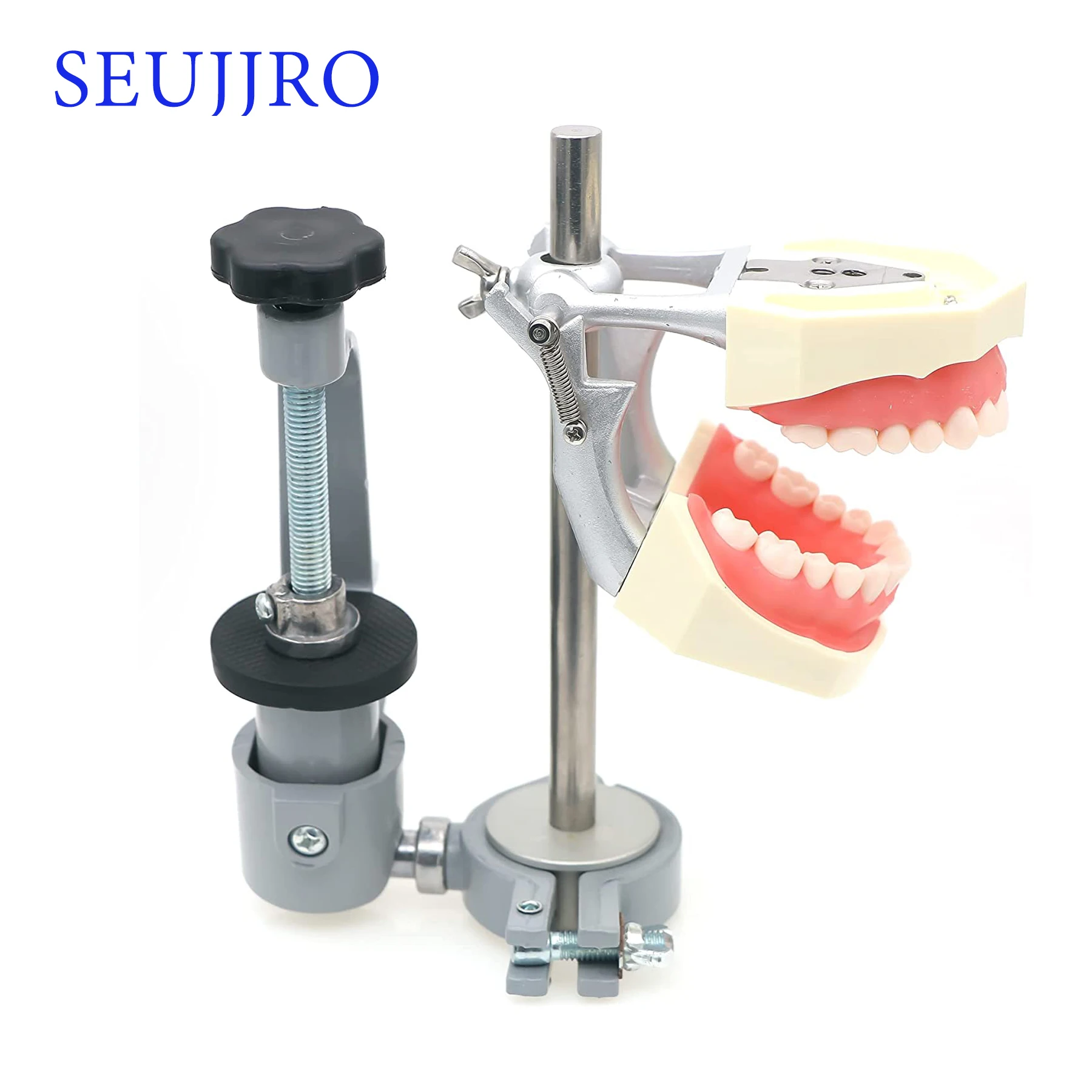 SEUJJRO Typodont Tooth Model 360-Degree Adjustable Fix on Desk Replaceable Teeth For Dentists Teaching Study Demonstration