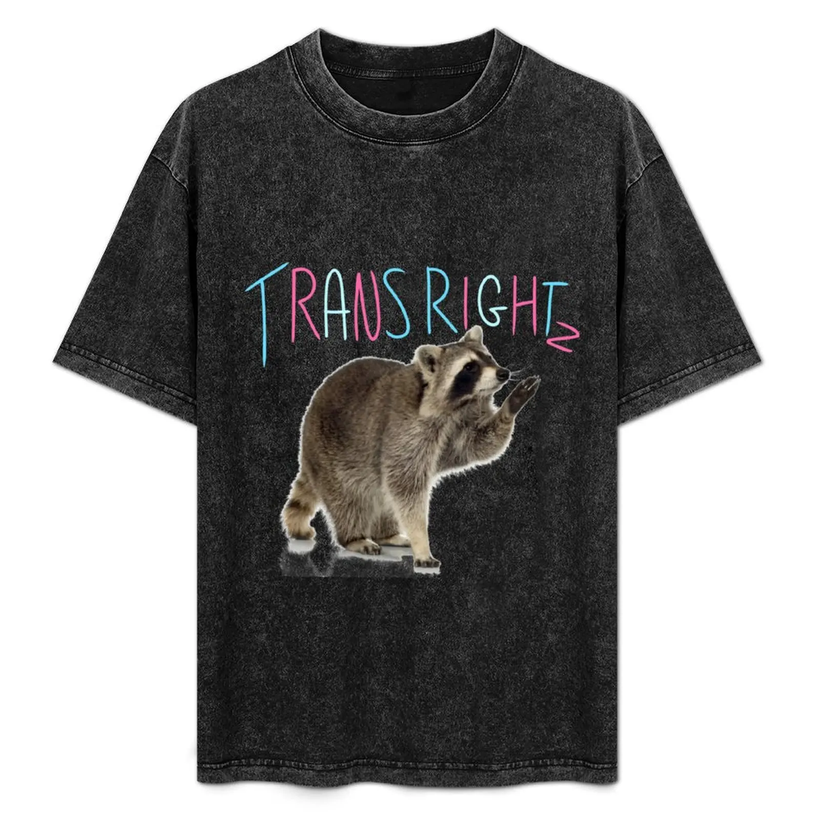 

Racoon Says Trans Rights T-Shirt summer clothes summer tops funny meme t-shirts Louboutins mens clothes