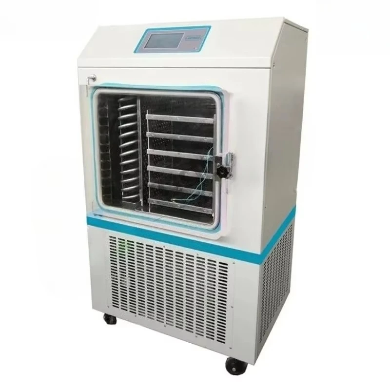 Large Capacity Vacuum Fruit Vegetable Dryer, Industrial Dehydration Equipment for Mango Production