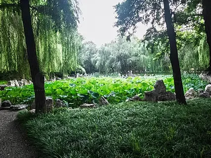 

T-MOTOR AM66A 66A BLHeli_S 32 ESC 3-6S Dshot1200 Electronic Speed Controller for RC FPV Drone with AM Link 3D Telemetry Card