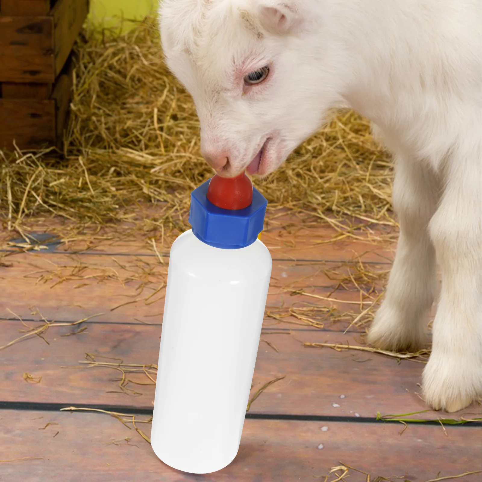 Lamp Milk Feeder Water Bottle Lamb Nursing Bottles Poultry Calf White Plastic Sheep Feeding