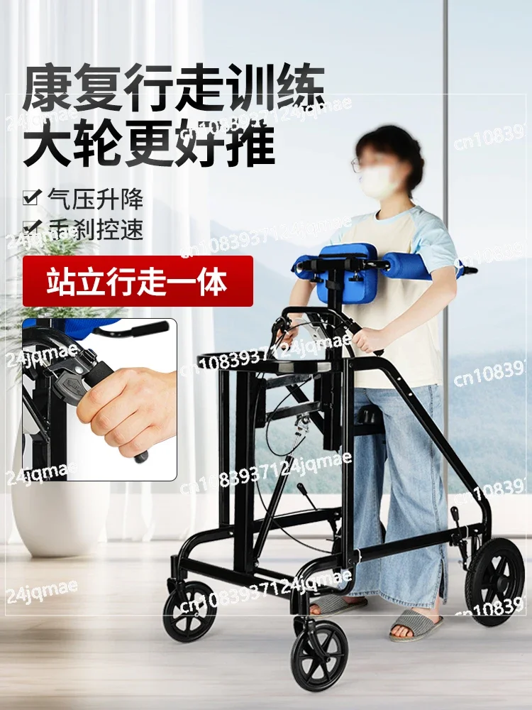 Elderly Walking Aids, Patient Rehabilitation Training Equipment, Walking Aids, Disabled Walking Aids, Learning Bikes