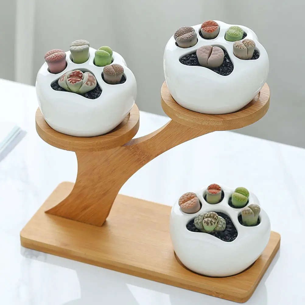 

Набор из 1 декоративного керамического горшка для суккулентов в форме кошачьей лапы, из высококачественного материала, с дренажным отверстием, для использования в помещении и на улице, для дома и сада