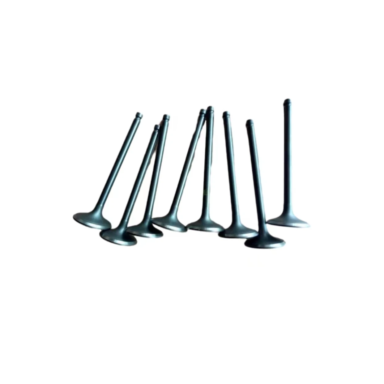 

Valva intake and extake for EFFA V21