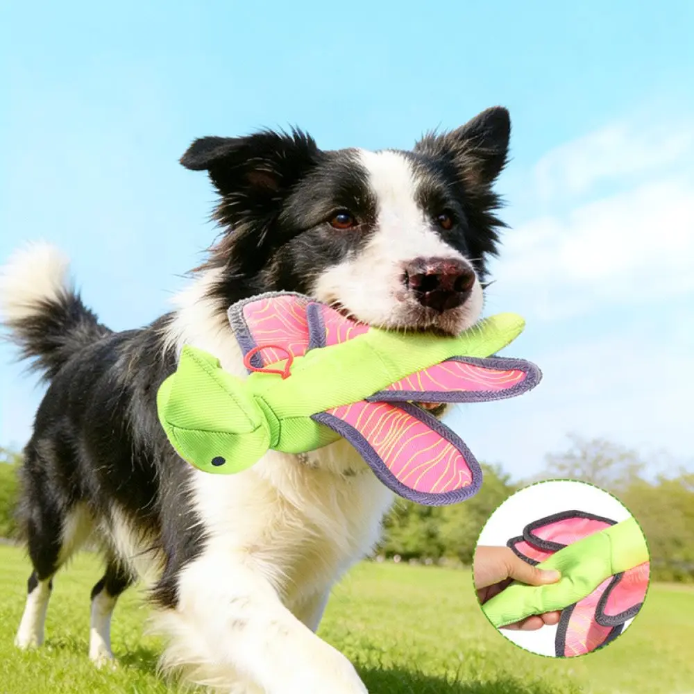 Cat Chase Toy Flying Insect Launcher Interactive Game Indoor Pet Exercise Training Tool Sounding Teaser Accessory Fun