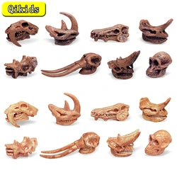 Dinosaur Toy Simulation Animal Skull Plastic Fossil Teaching Dinosaurs Skeleton Model for Collectors Craft Gifts Home Decor Toys