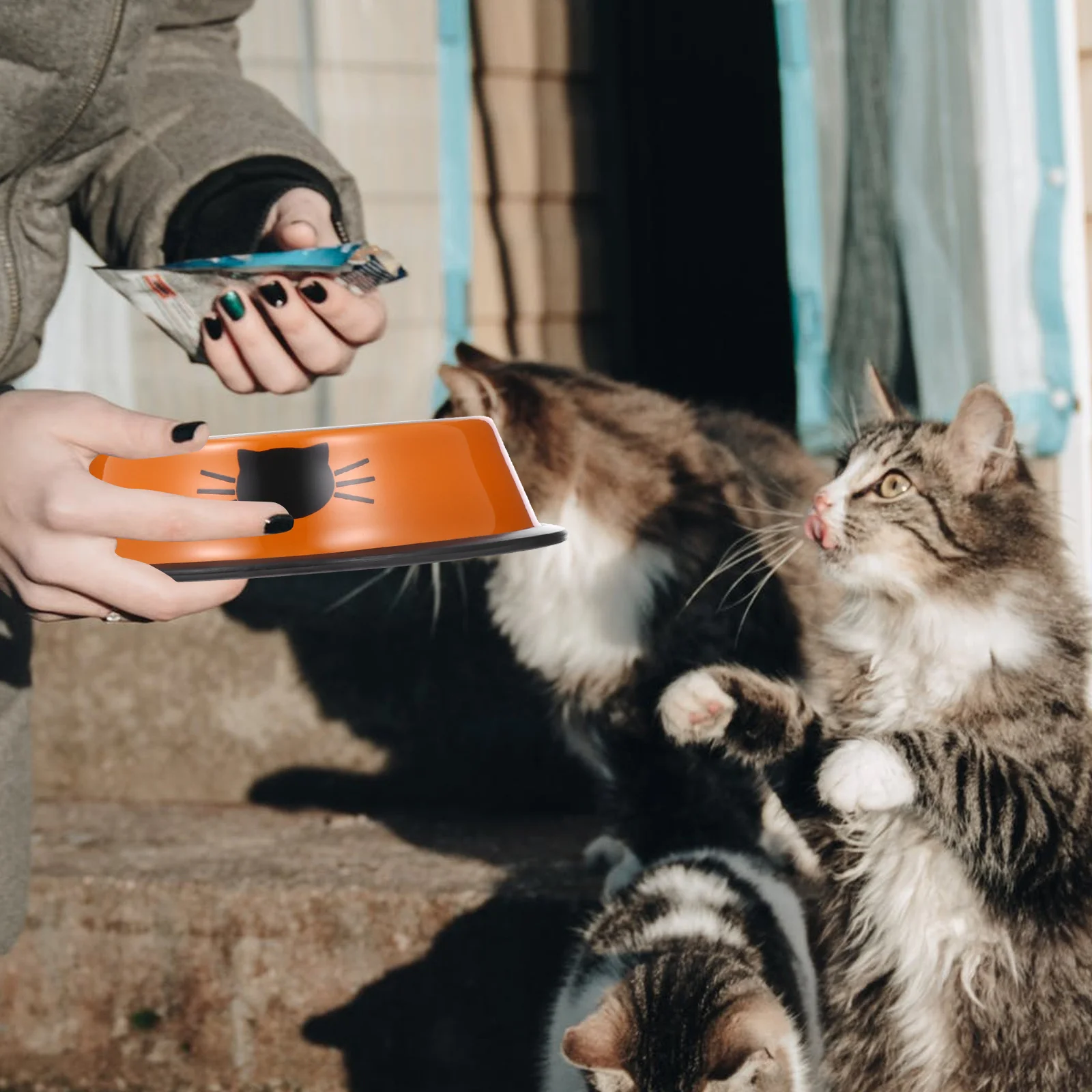 

Durable Stainless Steel Pet Bowl Kitten Cat Feeder Food Water Dish Safe Healthy Convenient Use Gift Cat Bowl Puppy Bow